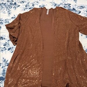 Women's Shimmering Brown Jacket